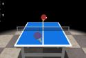 Table Tennis Master 3D screenshot 5