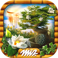 Mystery Objects Zen Garden