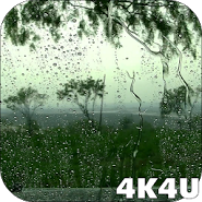 4K Video Wallpaper Rain