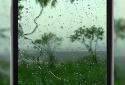 4K Video Wallpaper Rain screenshot 1