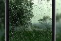 4K Video Wallpaper Rain screenshot 2