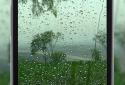 4K Video Wallpaper Rain screenshot 3