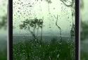 4K Video Wallpaper Rain screenshot 4