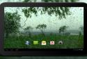 4K Video Wallpaper Rain screenshot 5