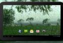 4K Video Wallpaper Rain screenshot 6