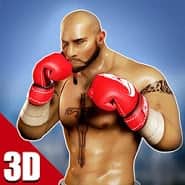 Boxing 3D Real Punch