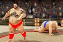 Sumo wrestling Revolution 2017: Pro Stars Fighting screenshot 5