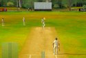 Cricket Megastar screenshot 7
