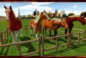 Horse Show Jumping Challenge screenshot 3