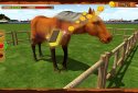 Horse Show Jumping Challenge screenshot 4