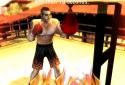Iron Fist Boxing Lite : The Original MMA Game screenshot 7