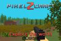 Pixel Craft screenshot 1
