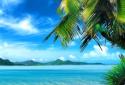 Tropical Beach Live Wallpaper screenshot 8