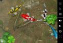 Koi Free Live Wallpaper 3D screenshot 3