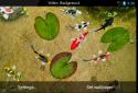 Koi Free Live Wallpaper 3D screenshot 6