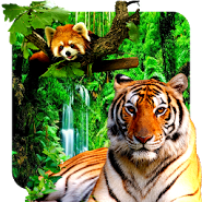 Animals 3D parallax live wallpaper