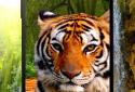 Animals 3D parallax live wallpaper screenshot 1