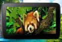 Animals 3D parallax live wallpaper screenshot 10