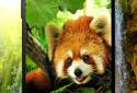 Animals 3D parallax live wallpaper screenshot 4