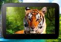 Animals 3D parallax live wallpaper screenshot 8