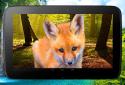 Animals 3D parallax live wallpaper screenshot 9