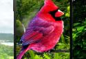 Birds 3D parallax live wallpaper screenshot 1