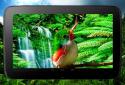 Birds 3D parallax live wallpaper screenshot 10