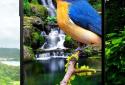 Birds 3D parallax live wallpaper screenshot 2