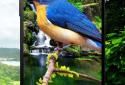 Birds 3D parallax live wallpaper screenshot 3