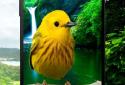 Birds 3D parallax live wallpaper screenshot 4