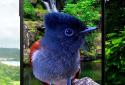 Birds 3D parallax live wallpaper screenshot 5