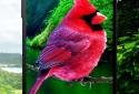 Birds 3D parallax live wallpaper screenshot 7