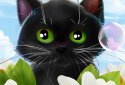 Cute Kitten Live Wallpaper screenshot 1