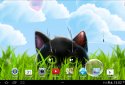 Cute Kitten Live Wallpaper screenshot 11