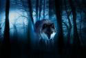 Wolves Night live wallpaper screenshot 6
