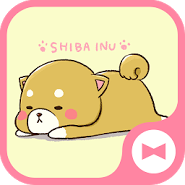 Dog Wallpaper Cute Mini Shiba Theme