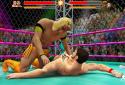 Cage Wrestling Revolution: Ladder Match Fighting screenshot 3