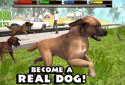 Ultimate Dog Simulator screenshot 1 Ultimate Dog Simulator screenshot 1