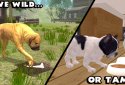 Ultimate Dog Simulator screenshot 5 Ultimate Dog Simulator screenshot 5