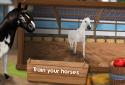 HorseHotel - Care for horses screenshot 3