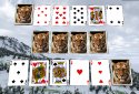 CardShark - Solitaire & more screenshot 12