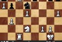 Shredder Chess screenshot 2