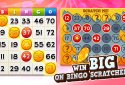 Bingo Pop screenshot 5