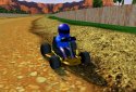 Rush Kart Racing 3D screenshot 8