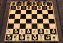 Chess screenshot 9
