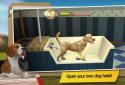 Premium Dog Hotel – Play with cute dogs screenshot 1