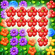 Garden Flowers Blossom