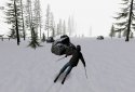 Alpine Ski III screenshot 9