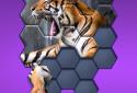 Hexa Jigsaw Puzzle™ screenshot 1
