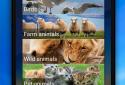Animal Sounds screenshot 5